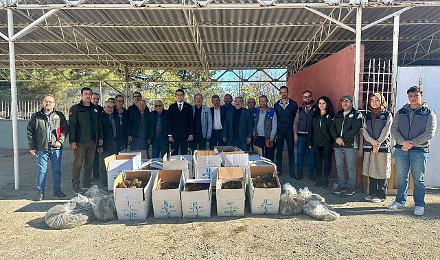 Bilecik'te 42 bin adet çilek fidesi dağıtıldı