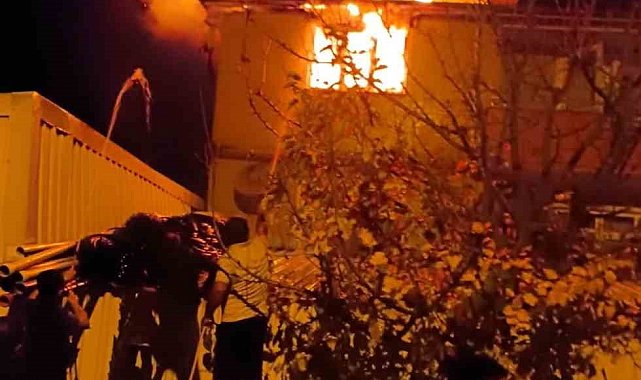 Bilecik'te korkutan yangın