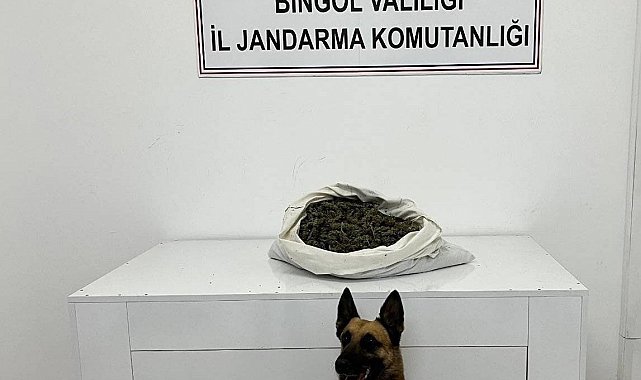 Bingöl'de zehir tacirlerine geçit yok