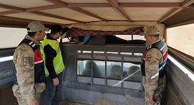 Bir ay içinde 28 düzensiz göçmen yakalandı