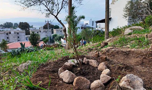 Bodrum Belediyesi çocukları doğayla buluşturdu