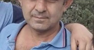 Bolu'da ağacın altında kalan vatandaş hayatını kaybetti