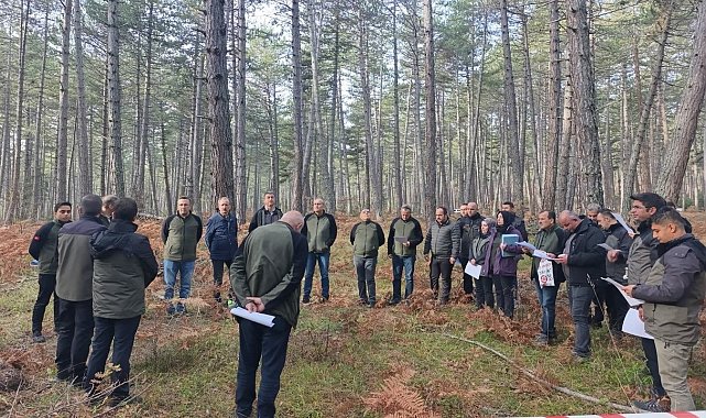 Bolu'da sağlıklı ormanlar için ekipler sahaya indi