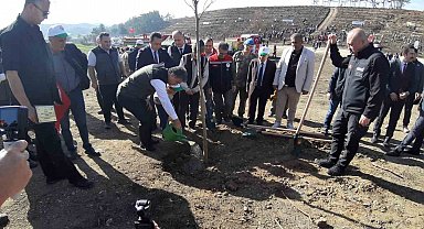 Bolu'da yanan orman yeniden yeşeriyor