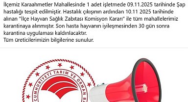 Bozdoğan'da şap hastalığı tespit edildi