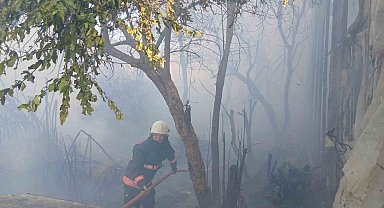 Bozyazı'da çıkan yangın seralara zarar verdi
