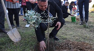 BŞEÜ'de zeytin fidanları toprakla buluştu