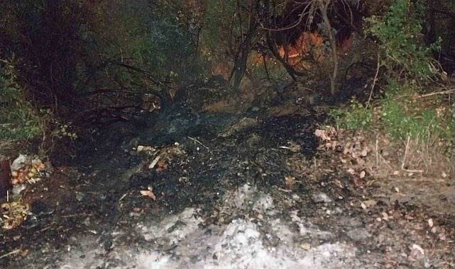 Bucak'ta arazi yangını