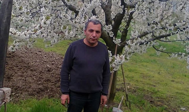 Budadığı ağaçtan düşen adam hayatını kaybetti