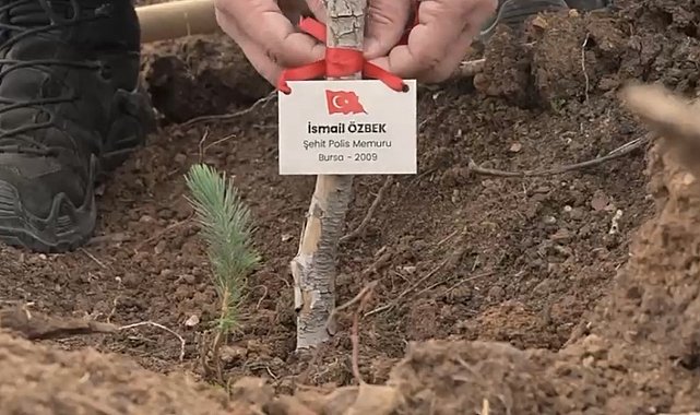 Bursa'da şehitler anısına fidan dikildi