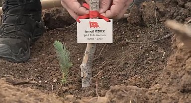 Bursa'da şehitler anısına fidan dikildi