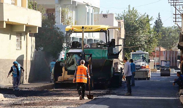 Büyükşehir'den Ceylanpınar'daki yolda asfalt çalışması