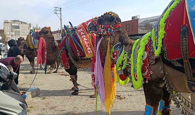 Çan'da havut giydirme hayrı düzenlendi