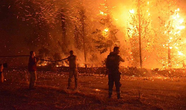 Çanakkale'de 2025 yılında 11 bin 868 futbol sahası büyüklüğünde orman alanı zarar gördü