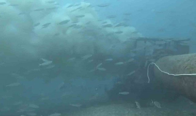 Çanakkale'de boğaza dökülen atık su ile karşılaşan dalgıç, o anları su altı kamerasıyla kaydetti