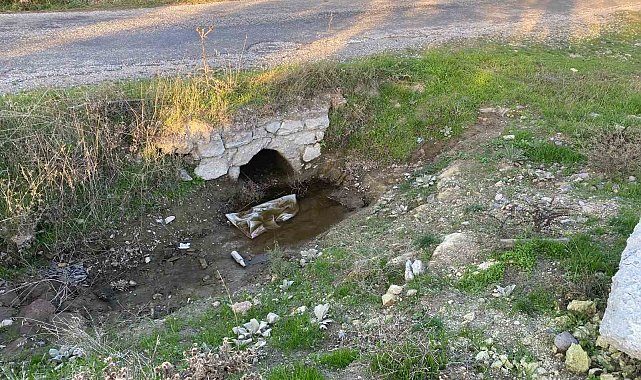 Çanakkale'de boş arazide bebek cesedi bulundu