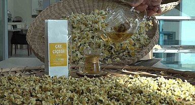 Çayın yeni ürünü 'Çay çiçeği çayı' 6 bin TL'den satılıyor