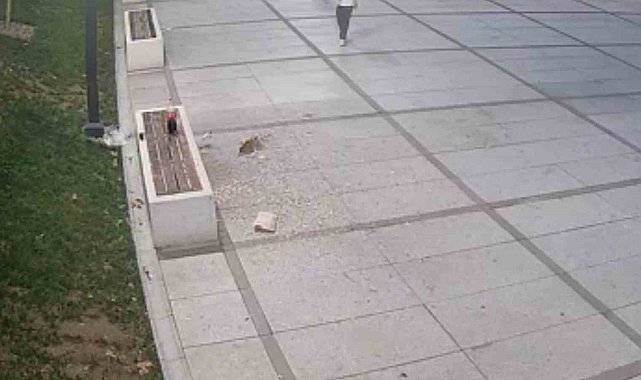 Çekirdek keyfi pahalıya patladı