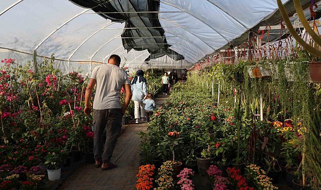 Çiçekçilerde Öğretmenler Günü yoğunluğu: Buket yerine saksı çiçekleri tercih ediliyor