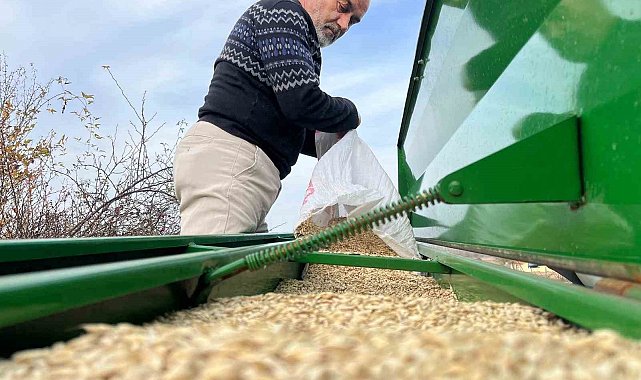 Çiftçilerin ekim mesaisi başladı, 12 bin yıllık siyez toprakla buluştu