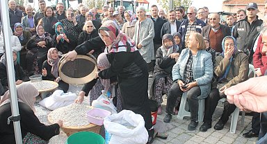 Coğrafi işaretli Kazak fasulyesinde ilk hasat festivali yapıldı