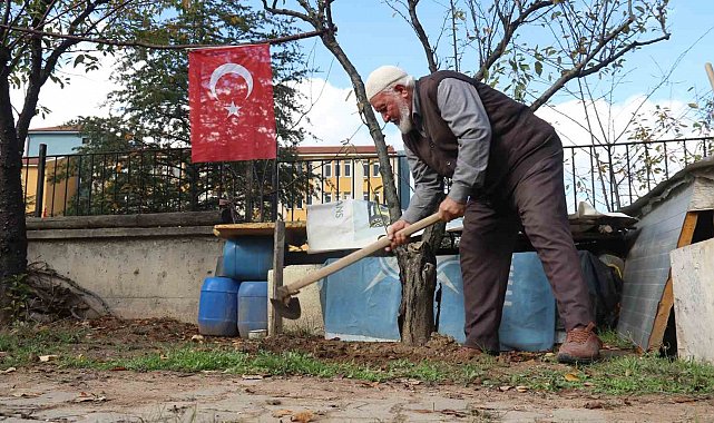Çöplüğü 15 Temmuz Şehitleri Fidanlığı'na çevirdi