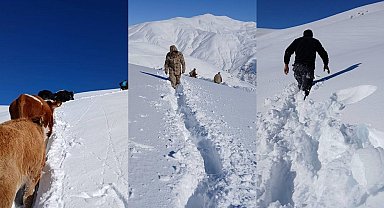 Dağda mahsur kalan 19 büyükbaş ekipler tarafından kurtarıldı