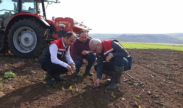 Deneme sahasından elde edilecek veriler bölge tarımına yön verecek