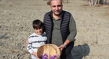 Denemek için ekti, 250 metrekarelik tarlasında dünyanın en pahalı baharatını yetiştirdi