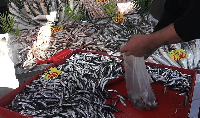 Denizi olmayan Çankırı'da 100 liraya satılan hamsi yüzleri güldürdü