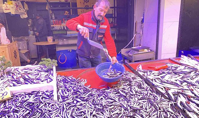 Denizlerde bollaşan hamsi tezgahlarda 100 TL'ye yer buldu