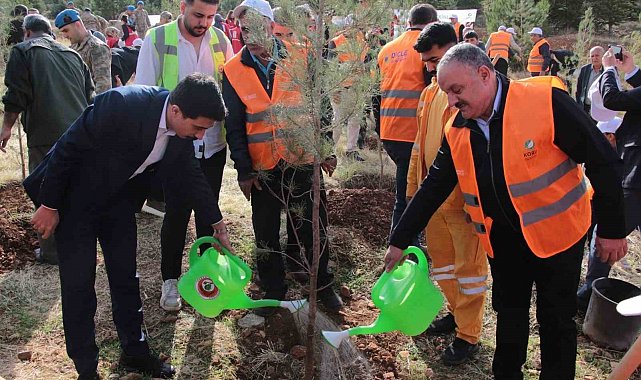 DEPSAŞ Enerji'den Makam Dağı'na 3 bin fidanlık yeşil dokunuş