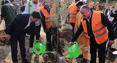 DEPSAŞ Enerji'den Makam Dağı'na 3 bin fidanlık yeşil dokunuş