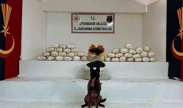 Diyarbakır'da 470 kilo skunk ve 85 kilo esrar ele geçirildi