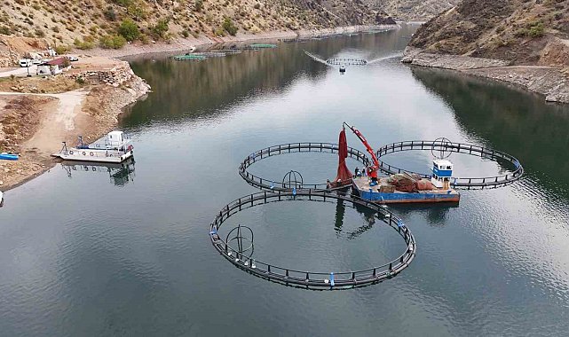 Diyarbakır'da 500 ton kapasiteli tesisten dünyaya "Mezopotamya somonu" gönderilecek