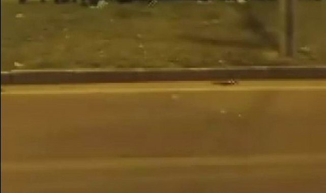 Diyarbakır'da araç refüje uçtu: 1 yaralı