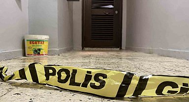 Diyarbakır'da bir şahıs anne ve ağabeyini yataklarında öldürdü