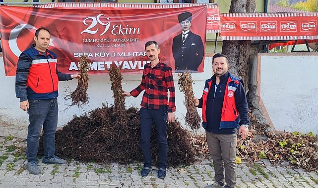 Domaniç'te çiftçilere yüzde 75 hibeli 3 bin adet ahududu fidanı dağıtıldı