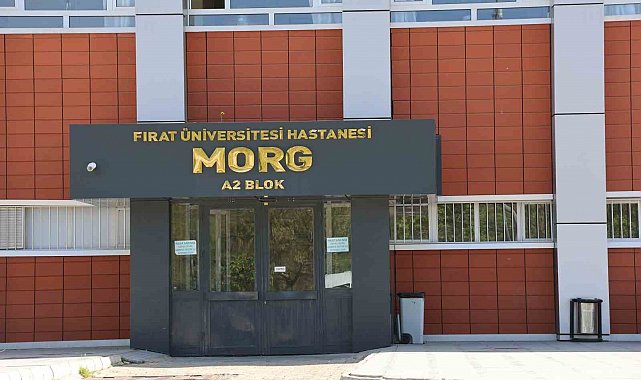 Elazığ'a üzüm almaya geldi, hayatını kaybetti