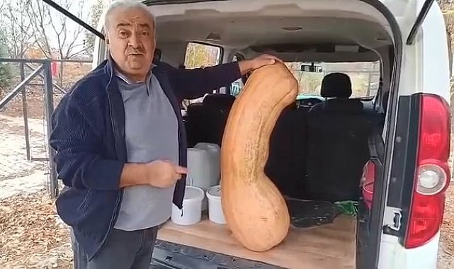 Elazığ'da 47 kilogramlık 113 santimetre kabak görenleri şaşırttı
