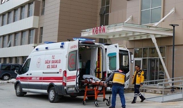 Erzincan'da üzüm bağında çalışan vatandaşa ayı saldırdı