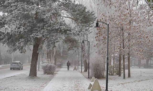 Erzurum güne sis ve kırağı ile uyandı