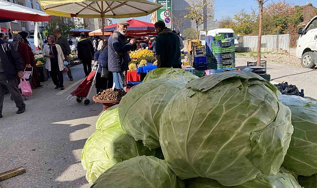 Eskişehir pazarında devasa lahanalar