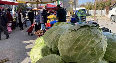 Eskişehir pazarında devasa lahanalar