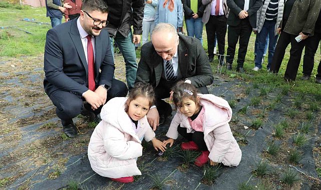 Eskişehir safran üretiminde birincilik yolunda