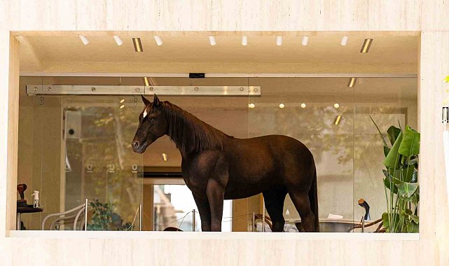 Espressolab, Jurassic Park teknolojisini şehirle buluşturdu