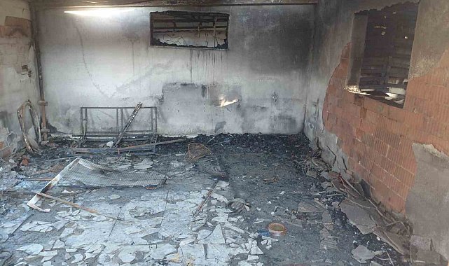 Evde çıkan yangında hayatını kaybetti, 20'den fazla kedi de telef oldu