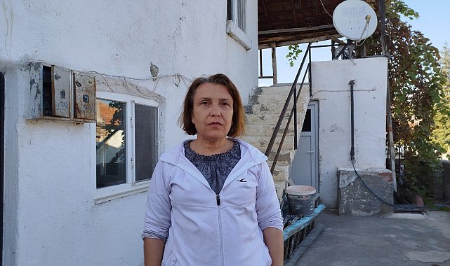 Evin çatısına yuva yapan eşek arıları hastanelik etti