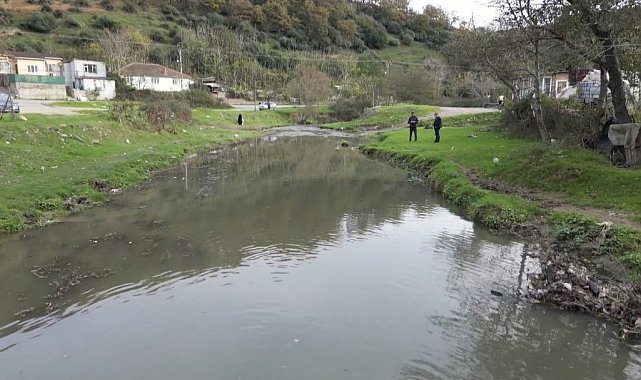 Eyüpsultan'daki gölde balık ölümleri yaşandı