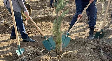 Fidanlar toprakla buluştu